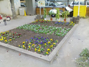 花壇2